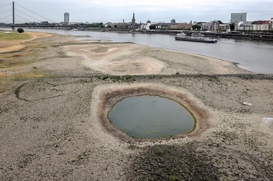 500년 만의 유럽 최악 가뭄에… “라인강이 메말랐다”