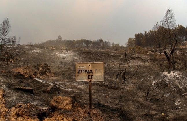 세계는 가뭄·산불로 몸살…경제피해 막심